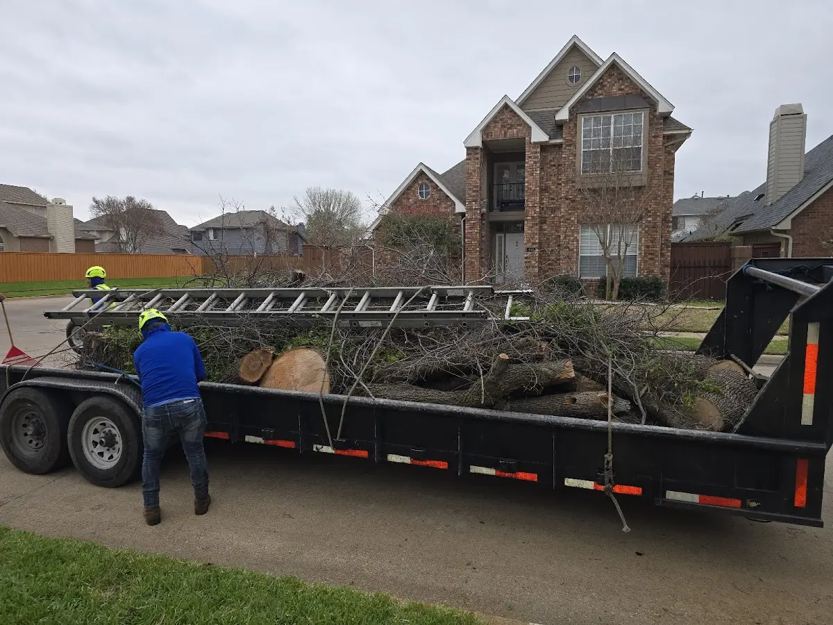 Expert Tree Pest Control with proper safety equipment in New Germantown